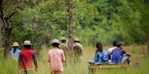 Protecting the forest before it’s too late Protecting the forest before it’s too late