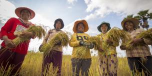 Women workers and smallholder farmers contribute immensely to ASEAN’s agriculture sector, despite continuing to face significant gender inequalities and injustices