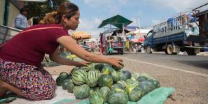 Street vendor selling water melon in Phnom Penh