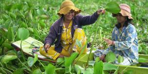 Fisher Folk Making Circular Economy Work for Fishing community in Tonle Sap