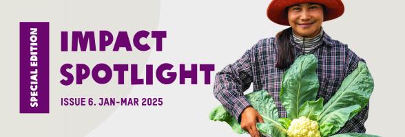 Impact Spotlight issue 6