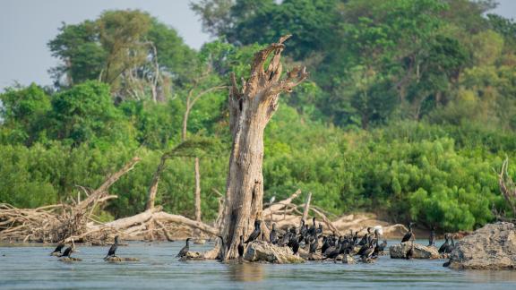 Riverine Critical Ecosystems in the Mekong. Photo: Oxfam