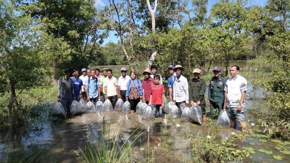 Awareness campaign and releasing fingerlings in Serey Monkul Trapaing Chres CFi, Ratanakiri province. Awareness campaign and releasing fingerlings in Serey Monkul Trapaing Chres CFi, Ratanakiri province.