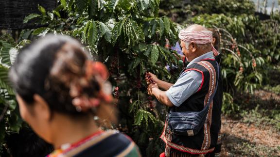 Three Corner Coffee partners with local farmers to boost incomes and preserve Cambodia’s historic coffee legacy. Photo: Three Corner Coffee Three Corner Coffee partners with local farmers to boost incomes and preserve Cambodia’s historic coffee legacy. Photo: Three Corner Coffee