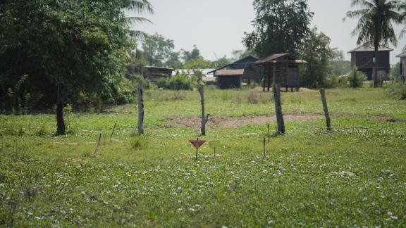 Fields marked by landmines remain inaccessible, forcing Ratana and Pon to plant vegetables near their home and raise the few surviving chickens, each new effort shadowed by uncertainty.