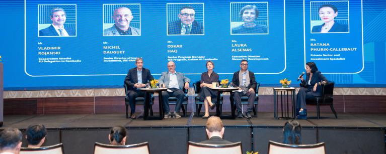 Blended Finance