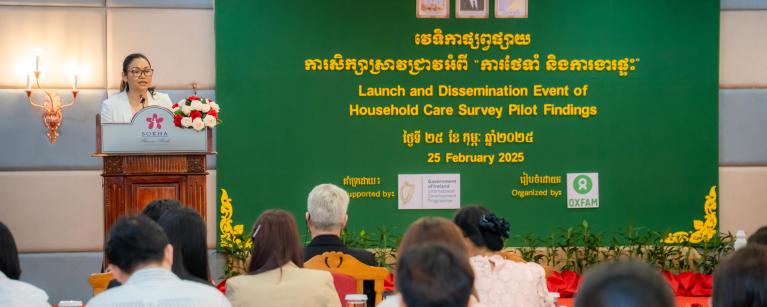 Household care survey