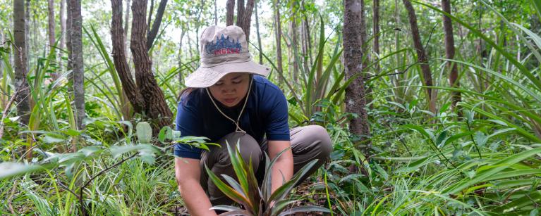 Agroforestry activity by Community Forestry
