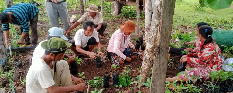 Tree nursery preparation for flooded forest plantation/restoration in Boeung Chres Conservation Area, Ratanakiri province.