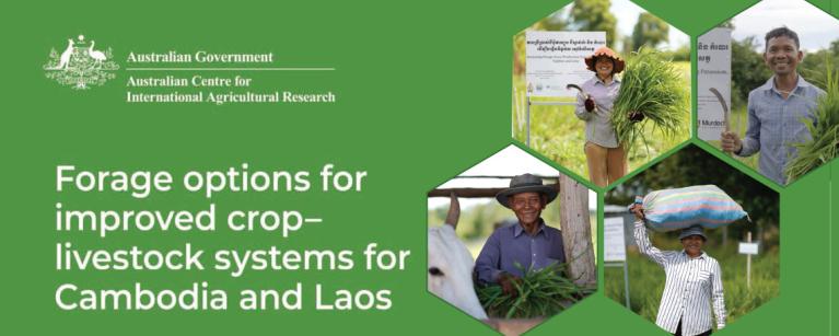 Forage options for improved crop-livestock systems for Cambodia and Laos