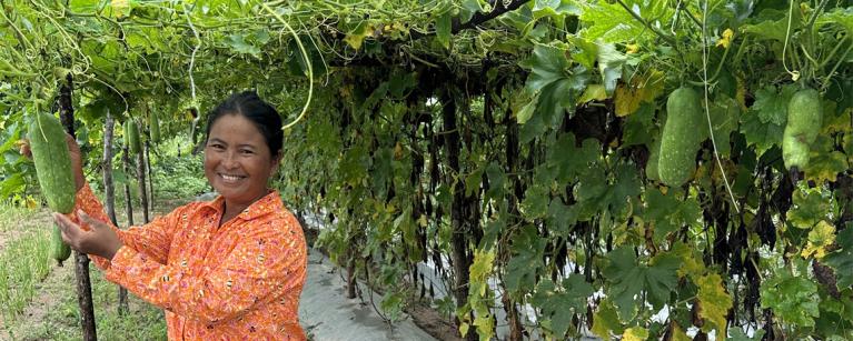 Ms.Phoeung Lam, under her winter gourd garden. 