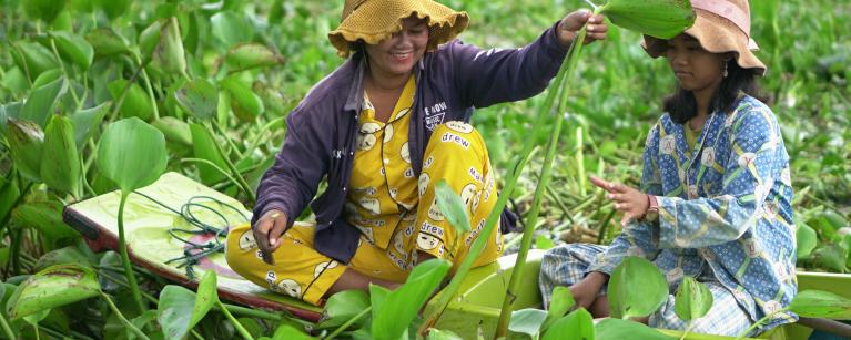 Fisher Folk Making Circular Economy Work for Fishing community in Tonle Sap