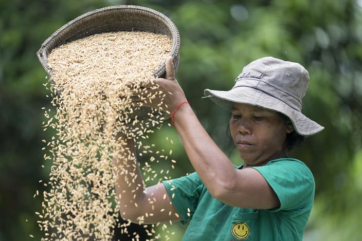 Blockchain for Livelihood from Organic Cambodian Rice