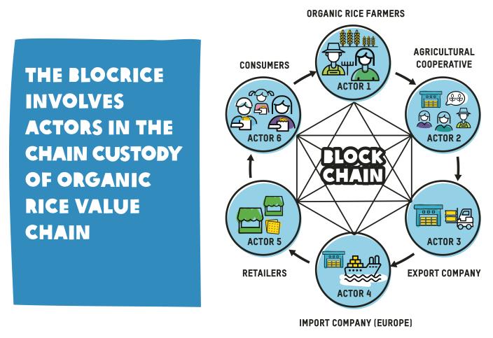 BlocRice involes active in chain custody of organic rice value chain