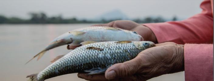 Economic Evaluation of Hydropower Projects in the Lower Mekong Basin