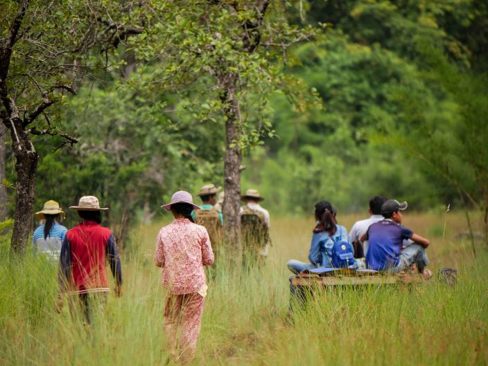 Protecting the forest before it’s too late