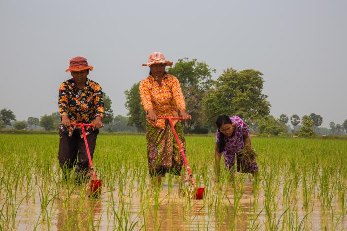 Helping Farmers to Increase Yields and Knowledge