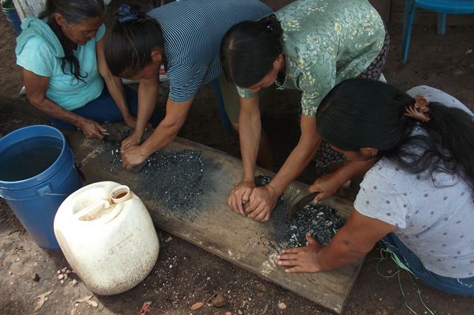 Grupo de mujeres fortalecen sus técnicas de producción de alimentos libres de fertilizantes químicos utilizando un biofertilizante. 