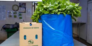 Basil products