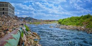 River Bank