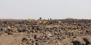 Drought Striken Marsabit County. Photo Credit; Blandina Bobson