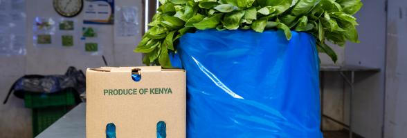 Basil products