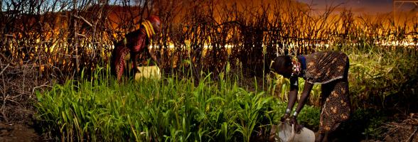 Women  gardening in their small farms in Turkana. Photo Credit: Alejandro Chaskielberg
