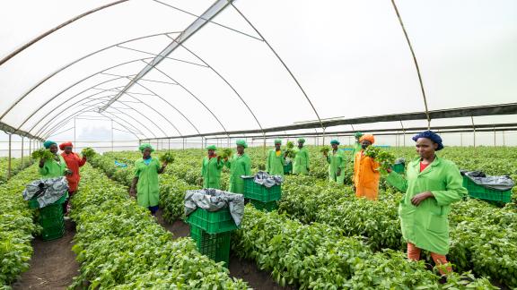 Farm workers
