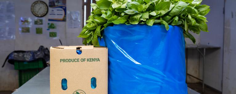 Basil products