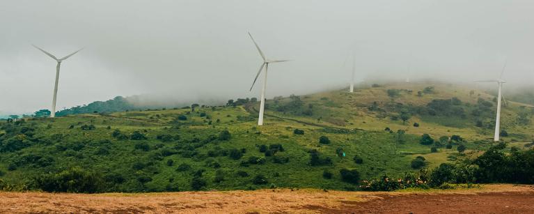 Electricity governance
