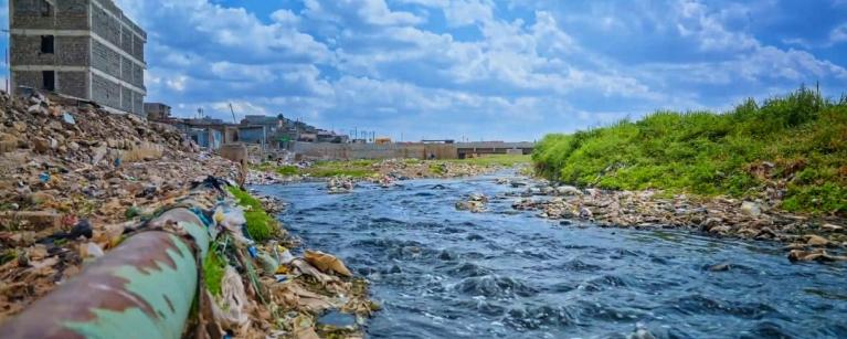 River Bank