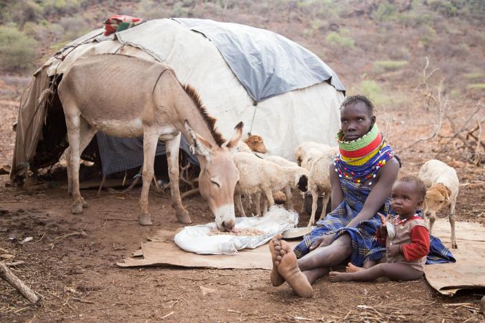 Maiyana David, feeding her goats with the pellets provided by NDMA