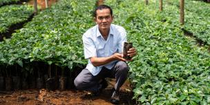 SOLAR Project: Sivixay Sibounheuang For better crops and better coffee, safety comes first SOLAR Project: Sivixay Sibounheuang For better crops and better coffee, safety comes first