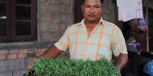 A low income worker holds a basket full of morning glory