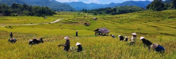 Cultivate Change (SEED)