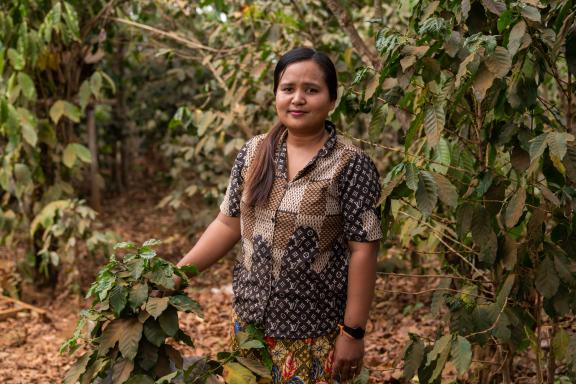 Pheuy Thavisak Gender equality concepts brighten the horizons for Salavan coffee farmer Pheuy Thavisak Gender equality concepts brighten the horizons for Salavan coffee farmer
