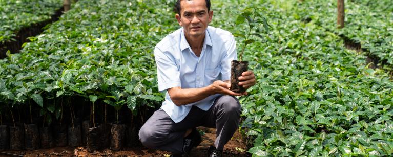 SOLAR Project: Sivixay Sibounheuang For better crops and better coffee, safety comes first SOLAR Project: Sivixay Sibounheuang For better crops and better coffee, safety comes first