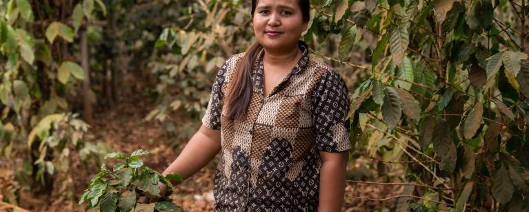 Pheuy Thavisak Gender equality concepts brighten the horizons for Salavan coffee farmer Pheuy Thavisak Gender equality concepts brighten the horizons for Salavan coffee farmer