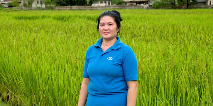 woman in blue standing nest to a green rice field