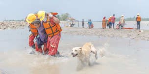Humanitarian blog