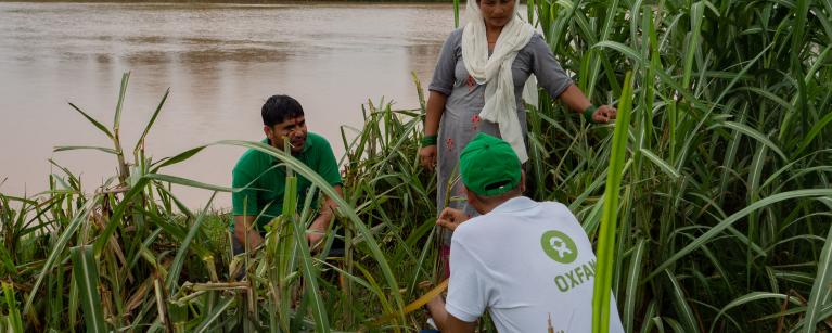 Oxfam in Nepal supports communities in Sudhurpaschim province to grow flood resistance crops. Photo Credit: Elizabeth Stevens/Oxfamt: