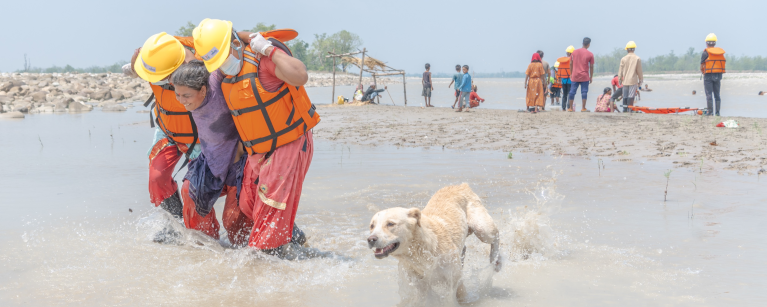 Humanitarian blog