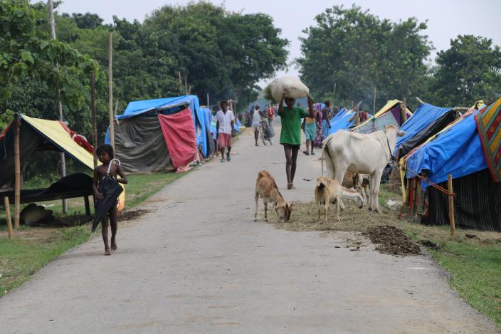 People and cattle on an embankment in Saptari district
