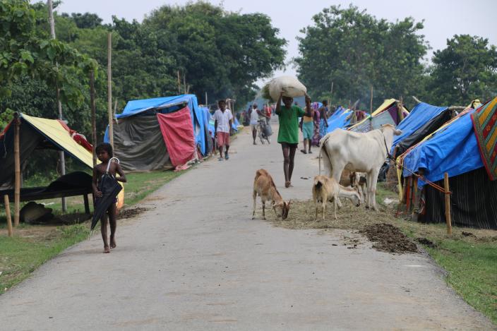 People and cattle on an embankment in Saptari district