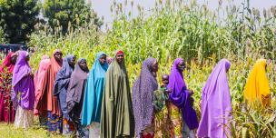 women-farmers-field-school-jigawa