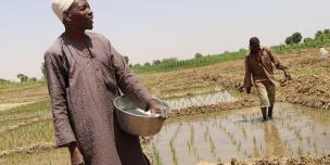 Suleiman Janare in his farm