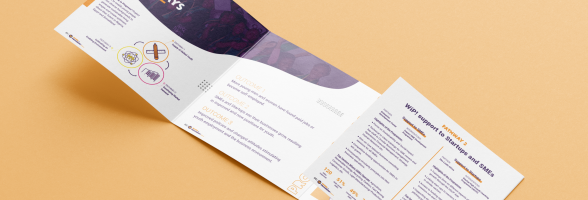 Work in Progress Fact Sheet