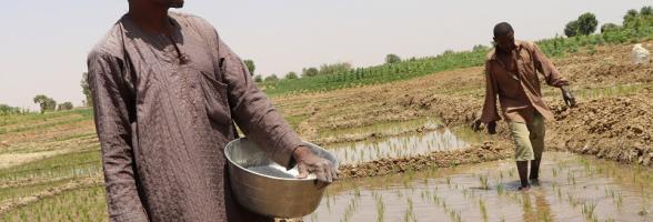 Suleiman Janare in his farm