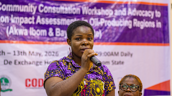 A female community representative sharing the lived experiences of oil pollution impacts at the Fair Finance Nigeria workshop.