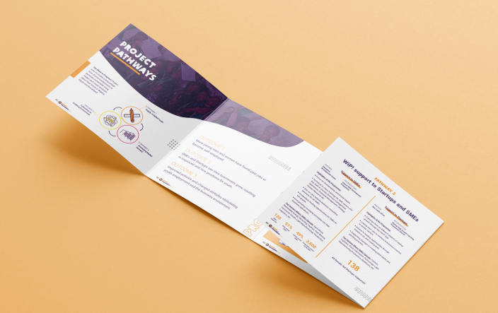 Work in Progress Fact Sheet